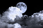 Night